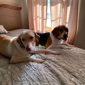 Meet your Posher, Jean